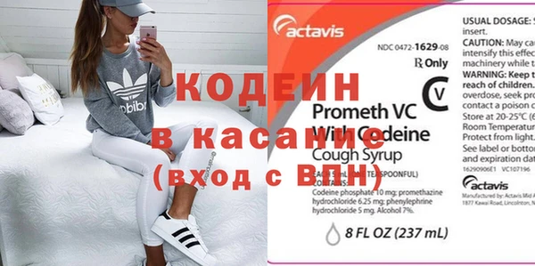 прущие грибы Нея