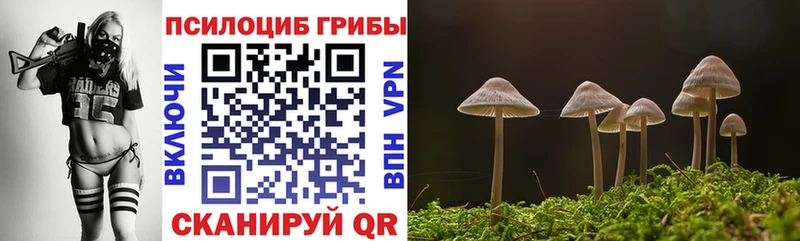 Псилоцибиновые грибы GOLDEN TEACHER Собинка